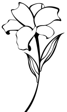 花型圖案