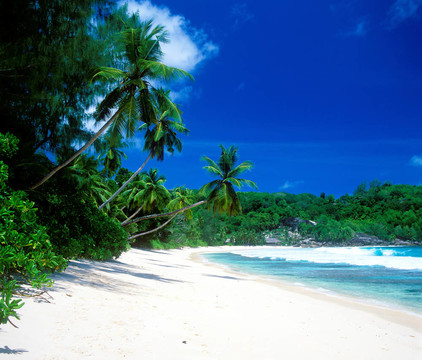 Anse Takamaka；Mahe；塞舌爾