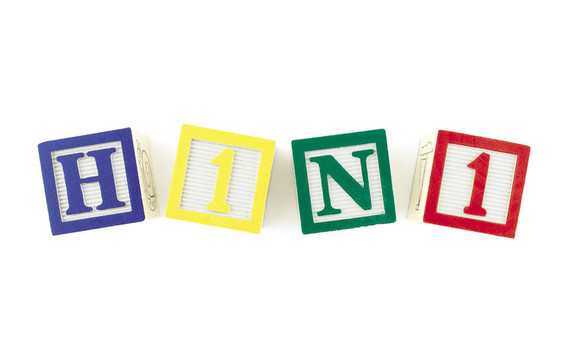 H1N1字母塊從上面看
