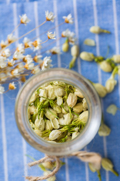 茉莉花茶