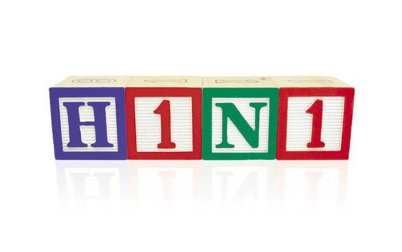 H1N1字母塊的反射