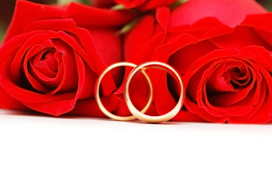兩枚結(jié)婚戒指和白色的紅玫瑰