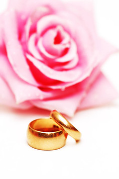 兩個結(jié)婚戒指和粉紅色的玫瑰在后臺