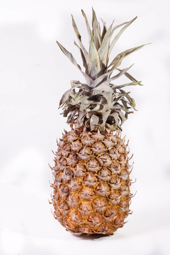 pienapple