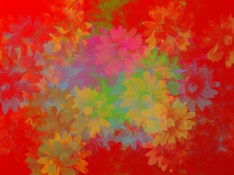 紅色花的背景