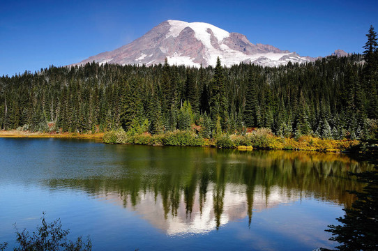 Mt Rainier的反思