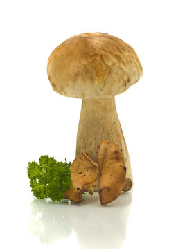 蘑菇和綠色香菜
