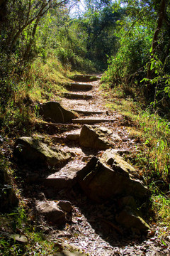 陡峭的小路