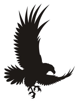 鷹