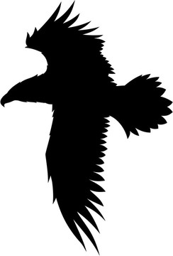 鷹