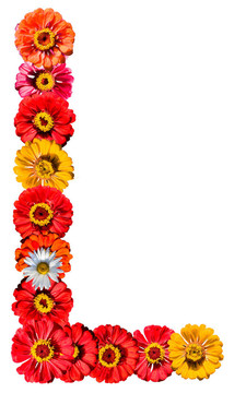 由不同的花朵制成的字母收藏