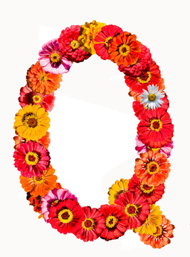 字母收集由不同的花朵- Q