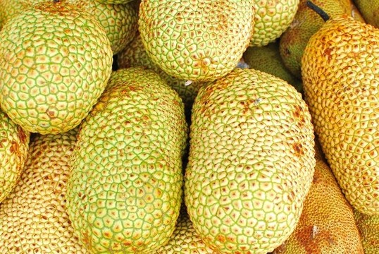 新鮮采摘的菠蘿