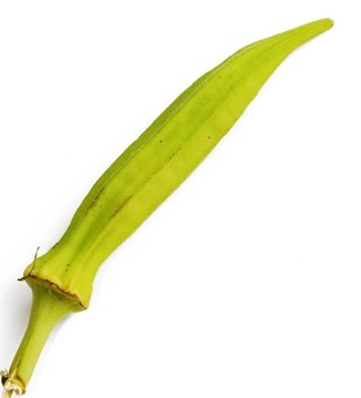 黃秋葵