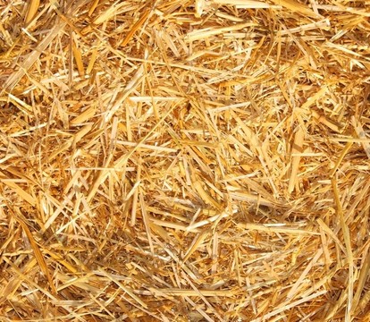 干草；Straw