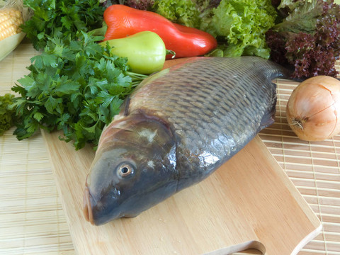 鯉魚