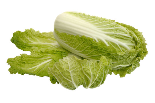 北京大白菜；分離