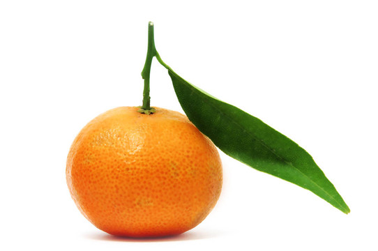 孤立的Tangerine夜店與白色背景上的葉子