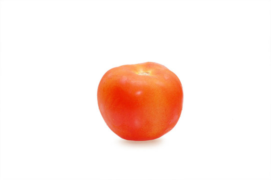 白底紅番茄