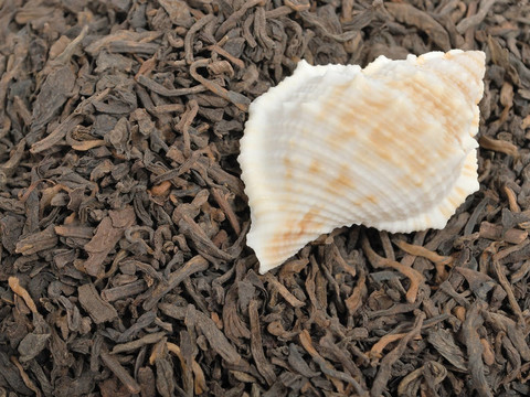 茶