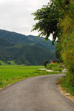 在Fewa湖路；尼泊爾
