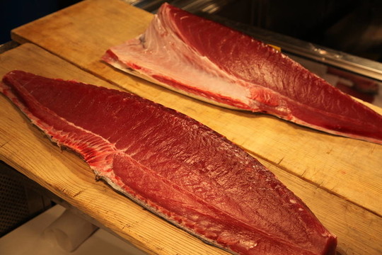 片切好的新鮮金槍魚在東京FISHMARKET注定結(jié)束，壽司在幾個小時內(nèi)。