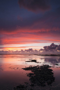 浪漫和戲劇性的夕陽(yáng)紅在瓦登海的荷蘭