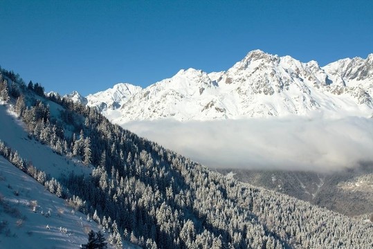 山