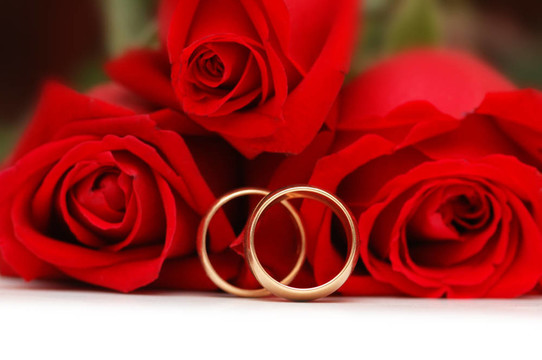 兩個(gè)黃金結(jié)婚戒指和紅玫瑰