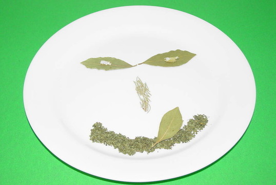 美味的香草