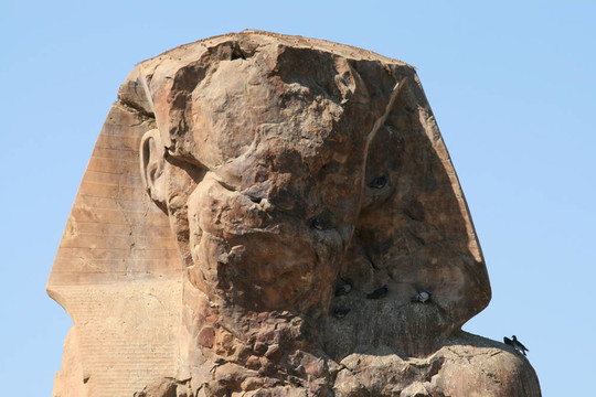 農(nóng)4 Colossi