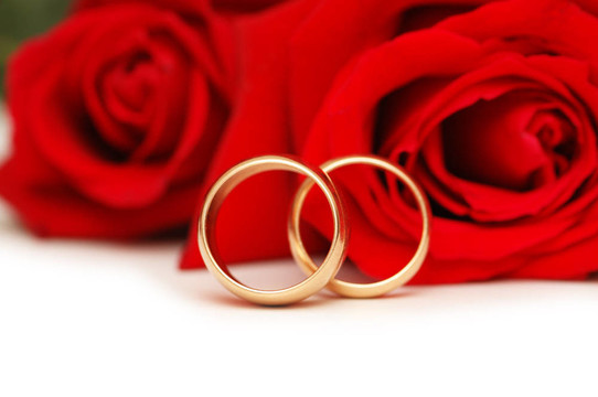 兩枚結(jié)婚戒指和白色的紅玫瑰