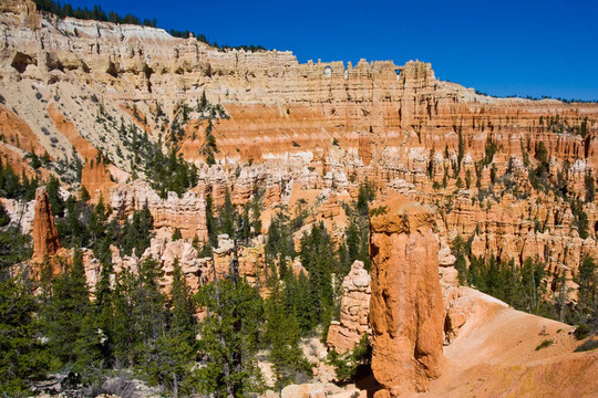 在Bryce Canyon