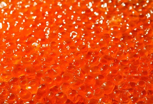 美味美味的軟紅魚子醬
