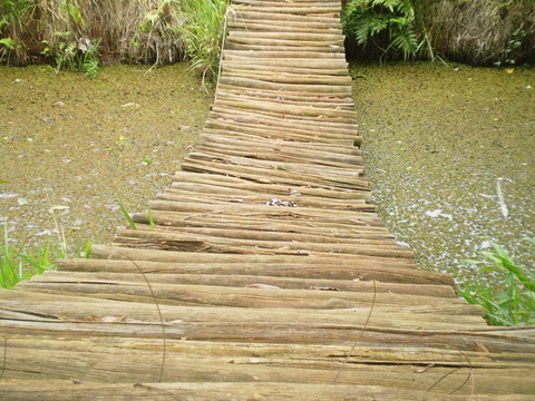 橋