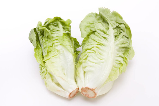 一顆小生菜
