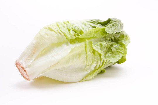 一顆小生菜