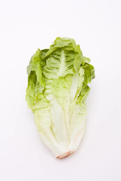 一顆小生菜
