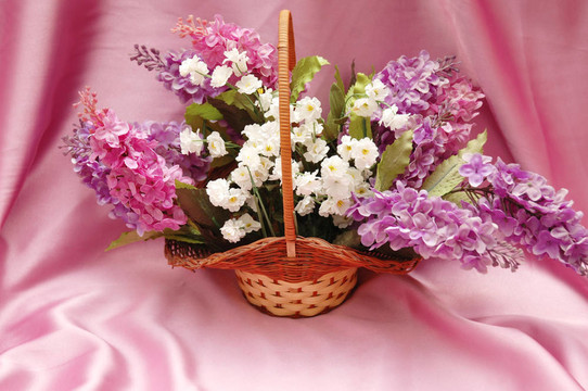 丁香丁香花背景