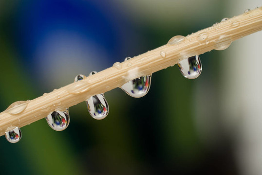 雨滴