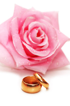 兩枚結(jié)婚戒指和白色的玫瑰