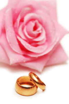 兩個(gè)結(jié)婚戒指和粉紅色的玫瑰在后臺(tái)