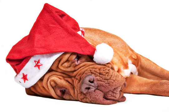 Santa累了嗎？