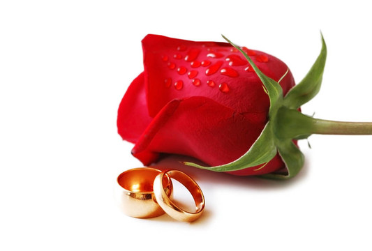 兩個(gè)金色的結(jié)婚戒指和一朵紅玫瑰