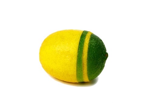 檸檬和酸橙