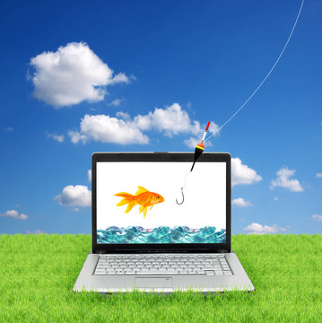 筆記本電腦里的金魚