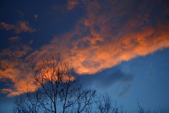 戲劇性的紅色藍色天空在夕陽傍晚鮮艷的顏色；自然