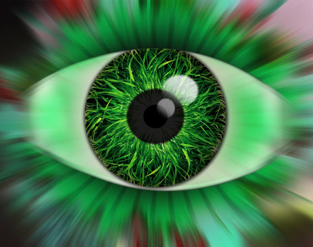 眼