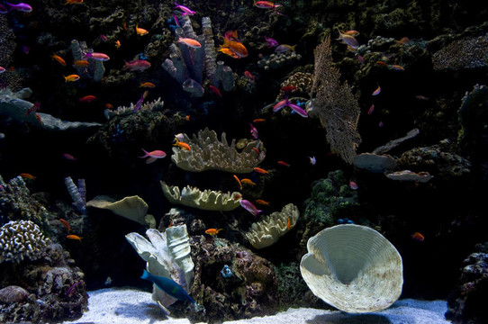 水族館