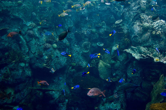 水族館